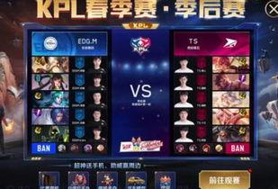 竞猜皮肤最新爆料,神秘皮肤即将揭晓,玩家热议不断!